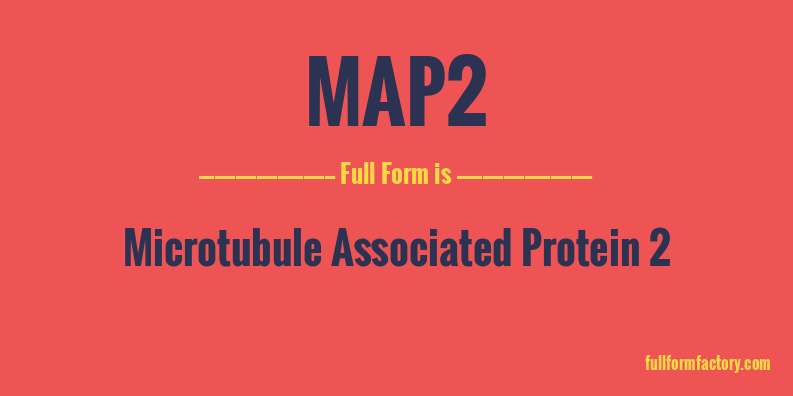 map2-full-form