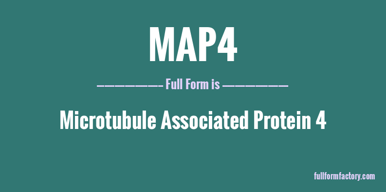 map4-full-form