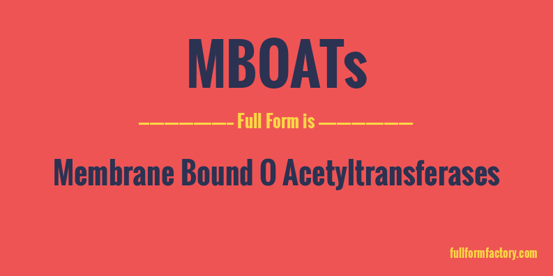 mboats-full-form