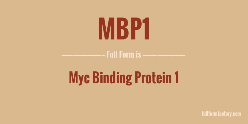 mbp1-full-form