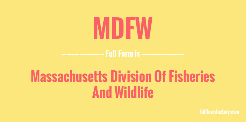 mdfw-full-form