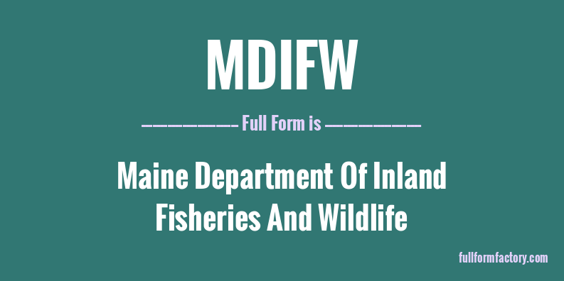mdifw-full-form