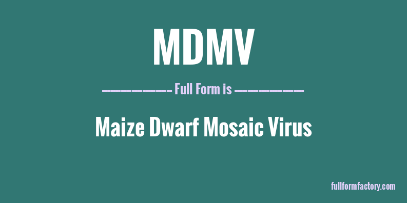 mdmv-full-form