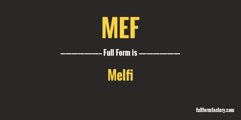 mef-full-form