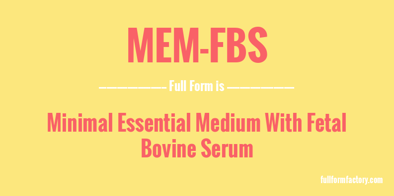 mem-fbs-full-form