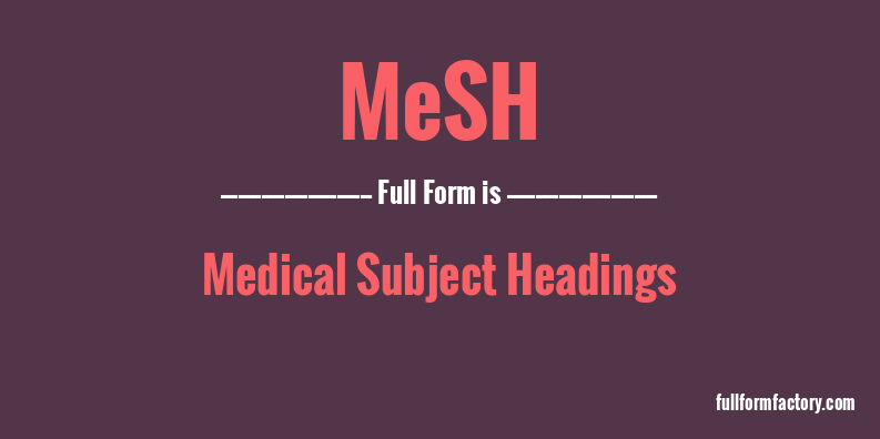 mesh-full-form