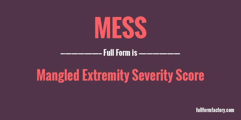 mess-full-form