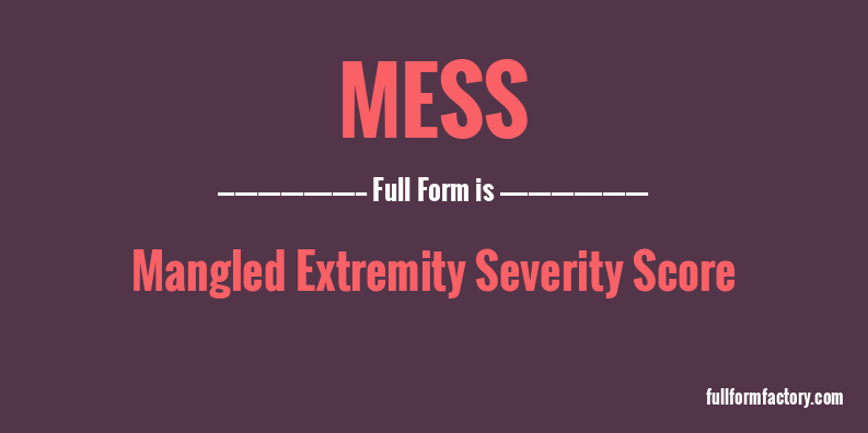 MESS Abbreviation Meaning FullForm Factory