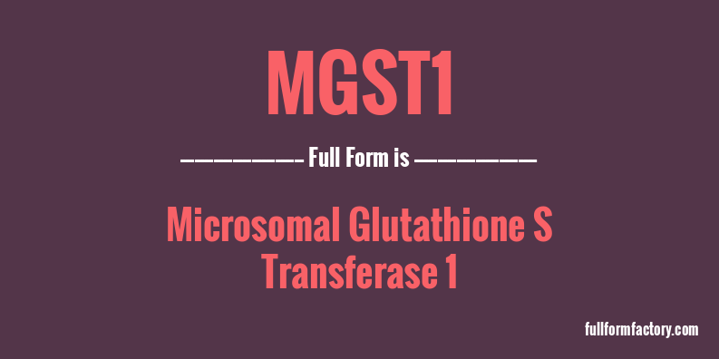 mgst1-full-form