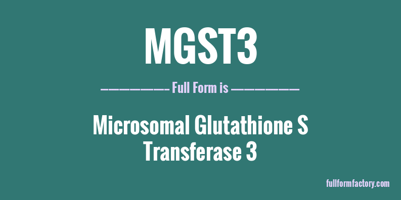 mgst3-full-form