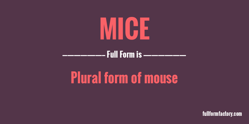 mice-full-form