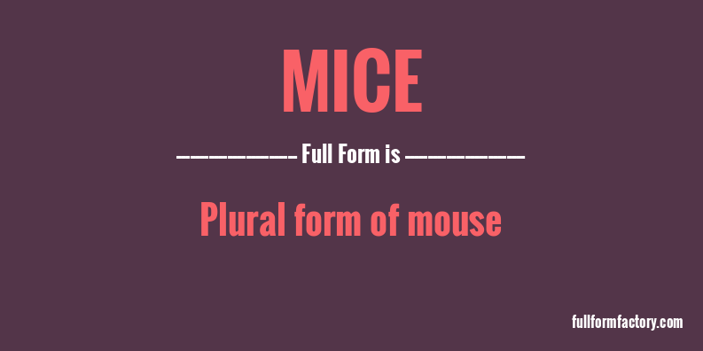 mice-abbreviation-meaning-fullform-factory