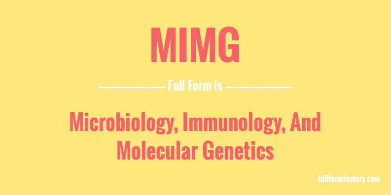 mimg-full-form