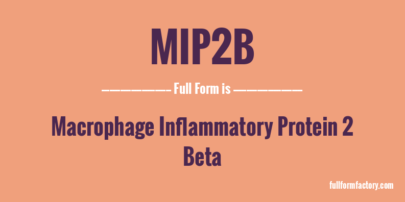 mip2b-full-form