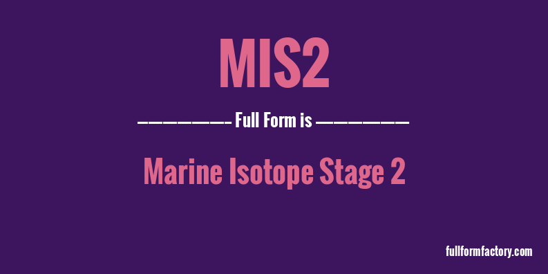 mis2-full-form