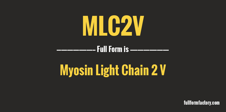 mlc2v-full-form