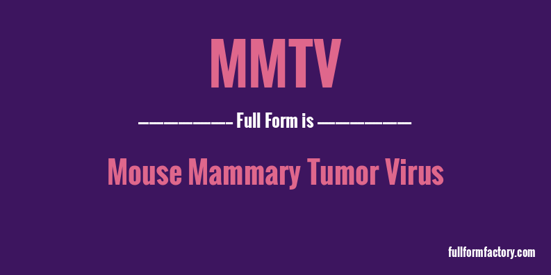 mmtv-full-form
