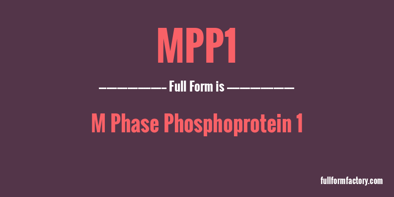 mpp1-full-form