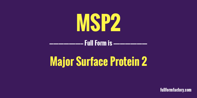 msp2-full-form
