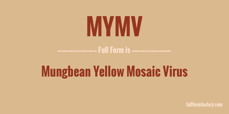 mymv-full-form