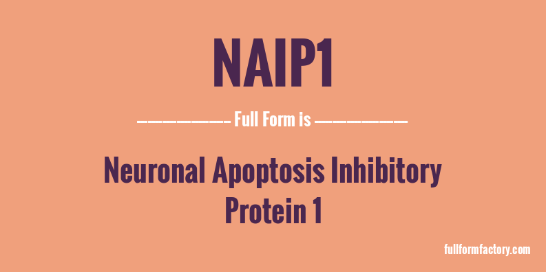 naip1-full-form