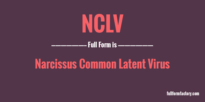 nclv-full-form