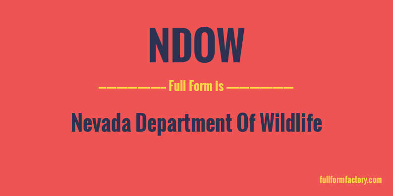 ndow-full-form