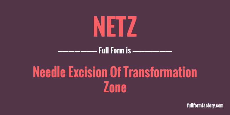 netz-full-form