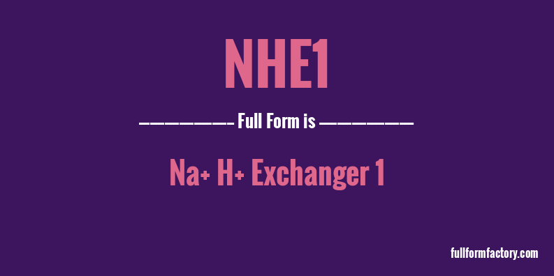 nhe1-full-form