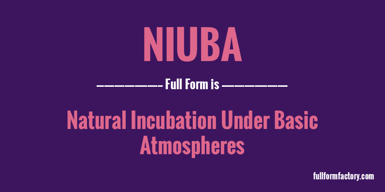 niuba-full-form