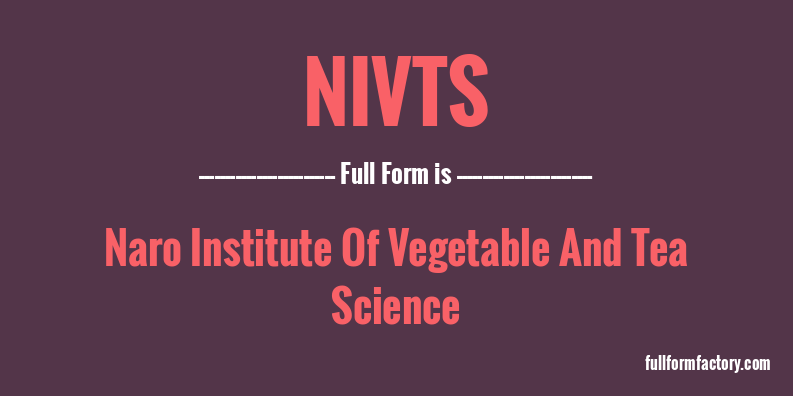 nivts-full-form