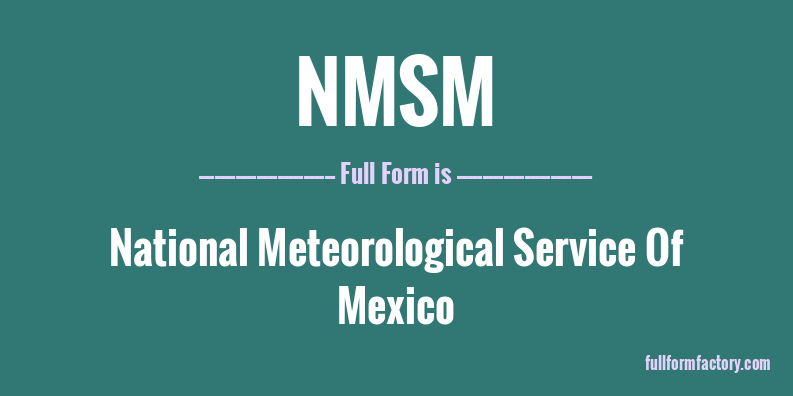 nmsm-full-form