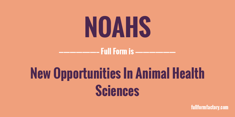 noahs-full-form