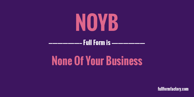 noyb-full-form