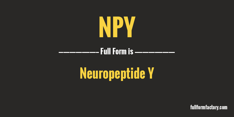 npy-full-form