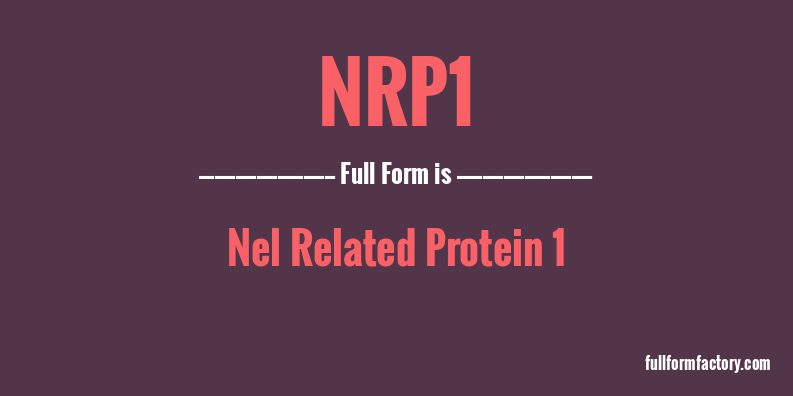 nrp1-full-form