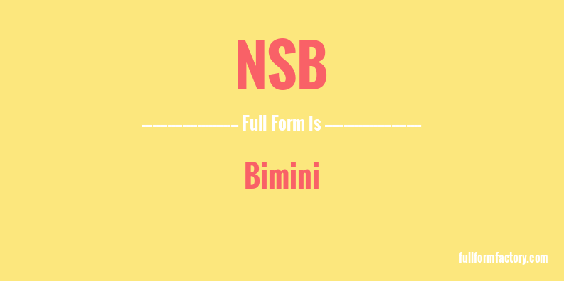 nsb-full-form