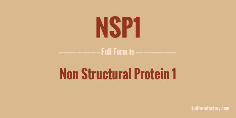 nsp1-full-form