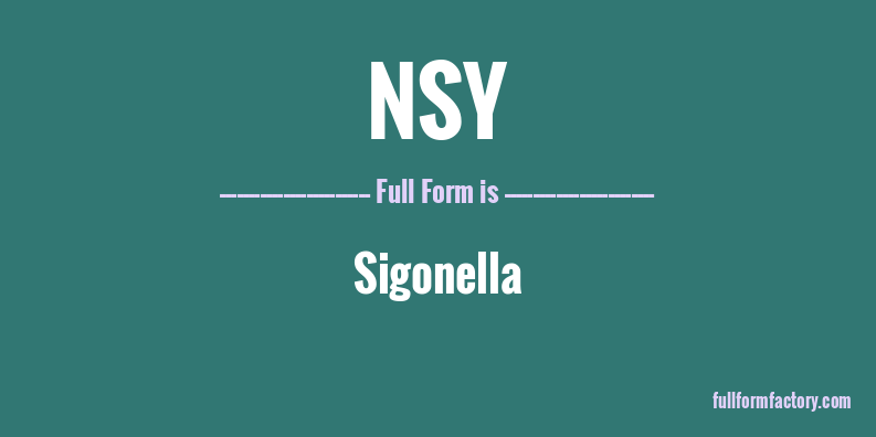 nsy-full-form