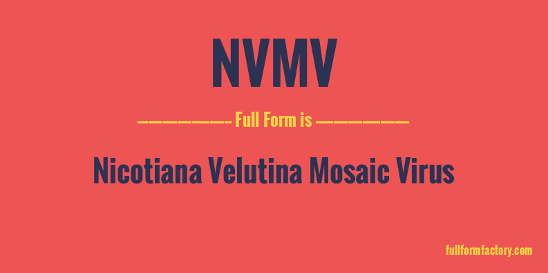 nvmv-full-form