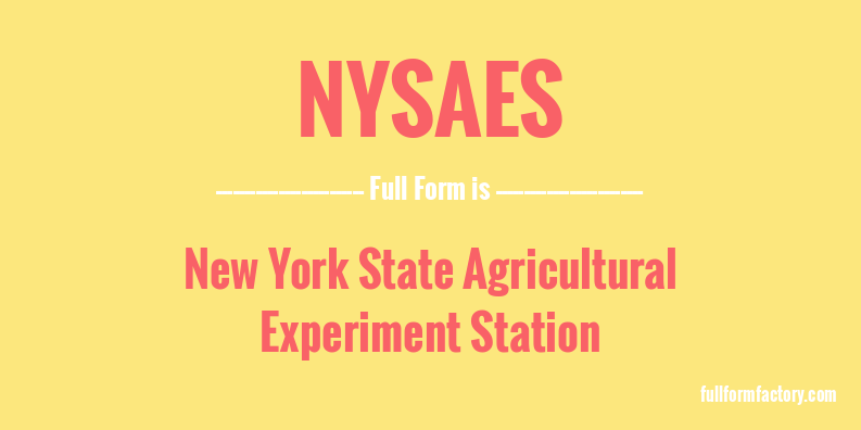 nysaes-full-form
