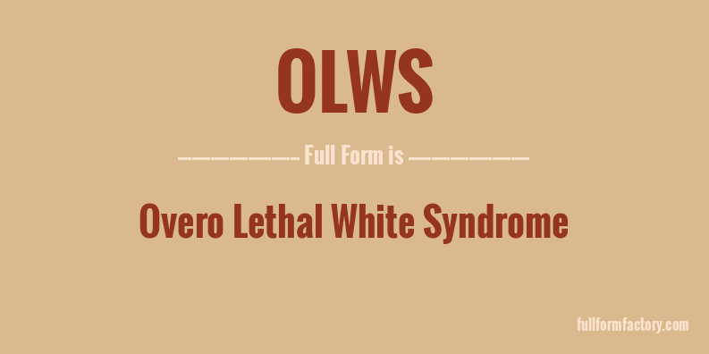 olws-full-form