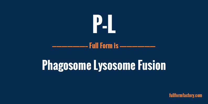 p-l-full-form