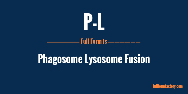 p-l-abbreviation-meaning-fullform-factory