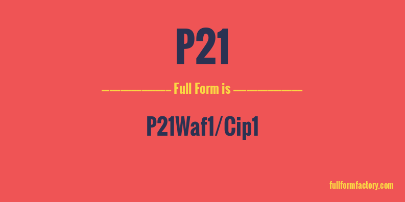 p21-full-form