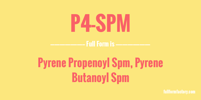 p4-spm-full-form