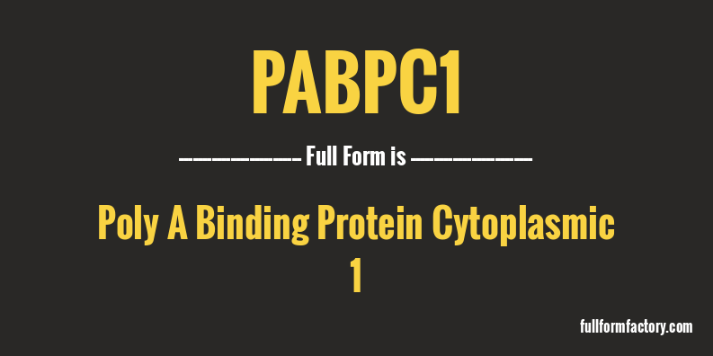 pabpc1-full-form