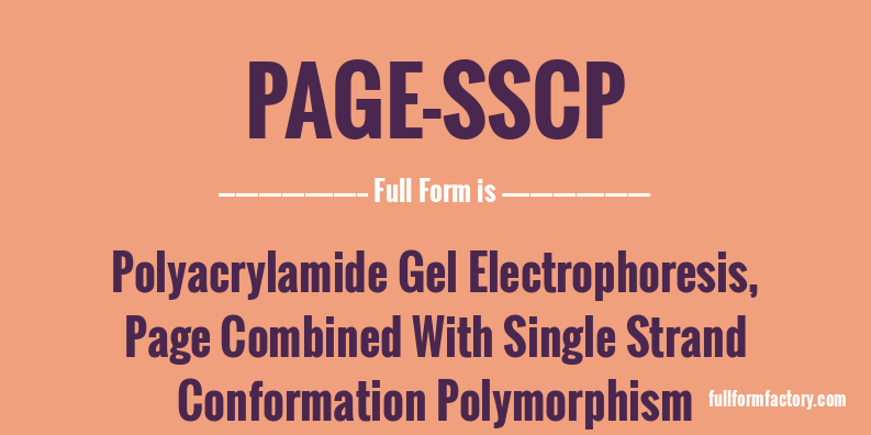 page-sscp-full-form