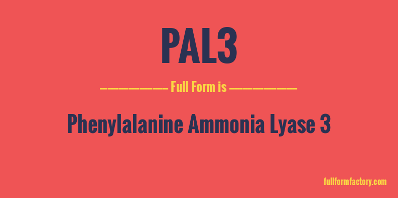 pal3-full-form