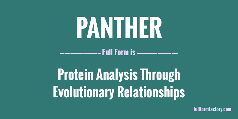 panther-full-form